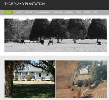 Thorpland Plantation